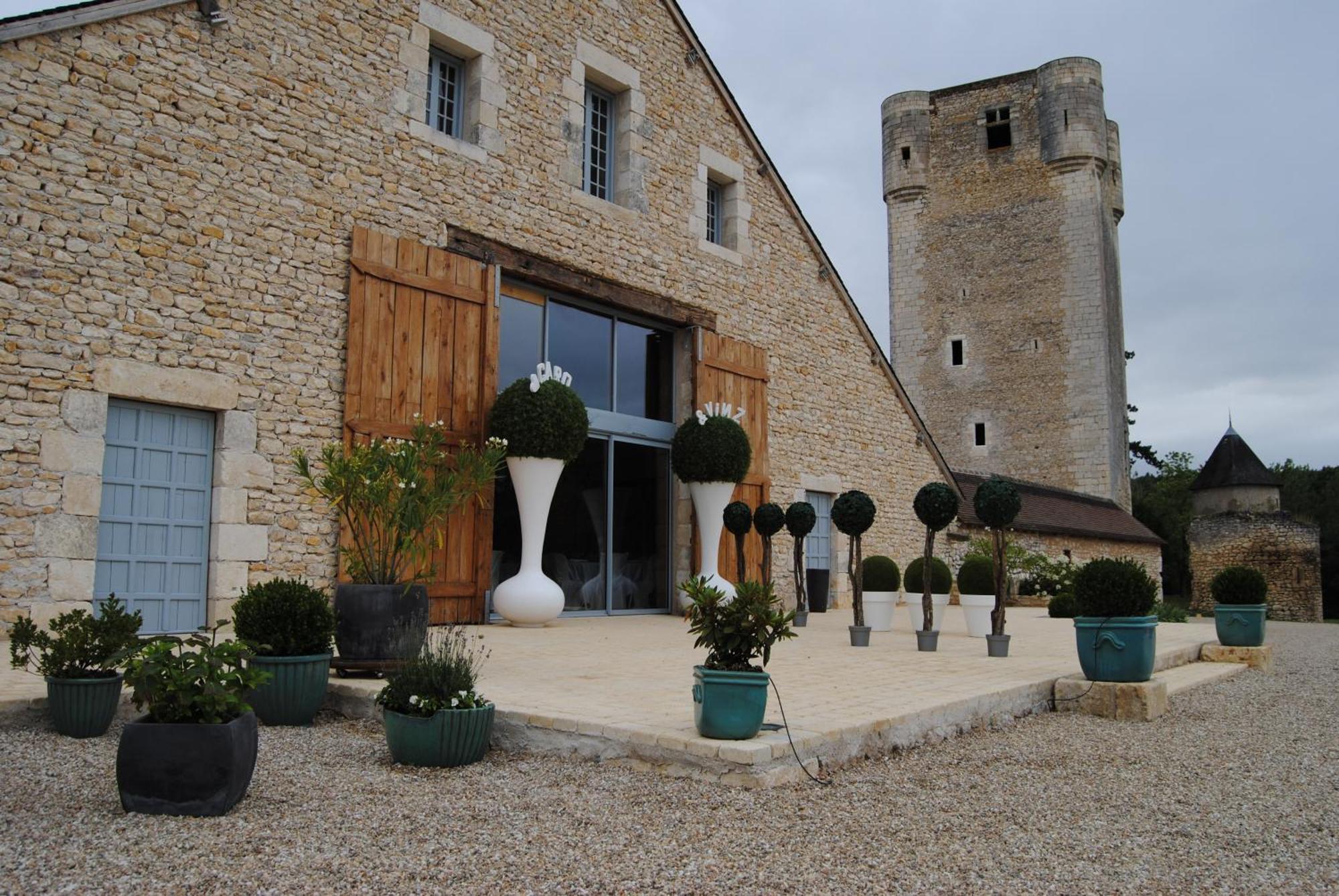 Chateau De Mazieres Tendu Bagian luar foto